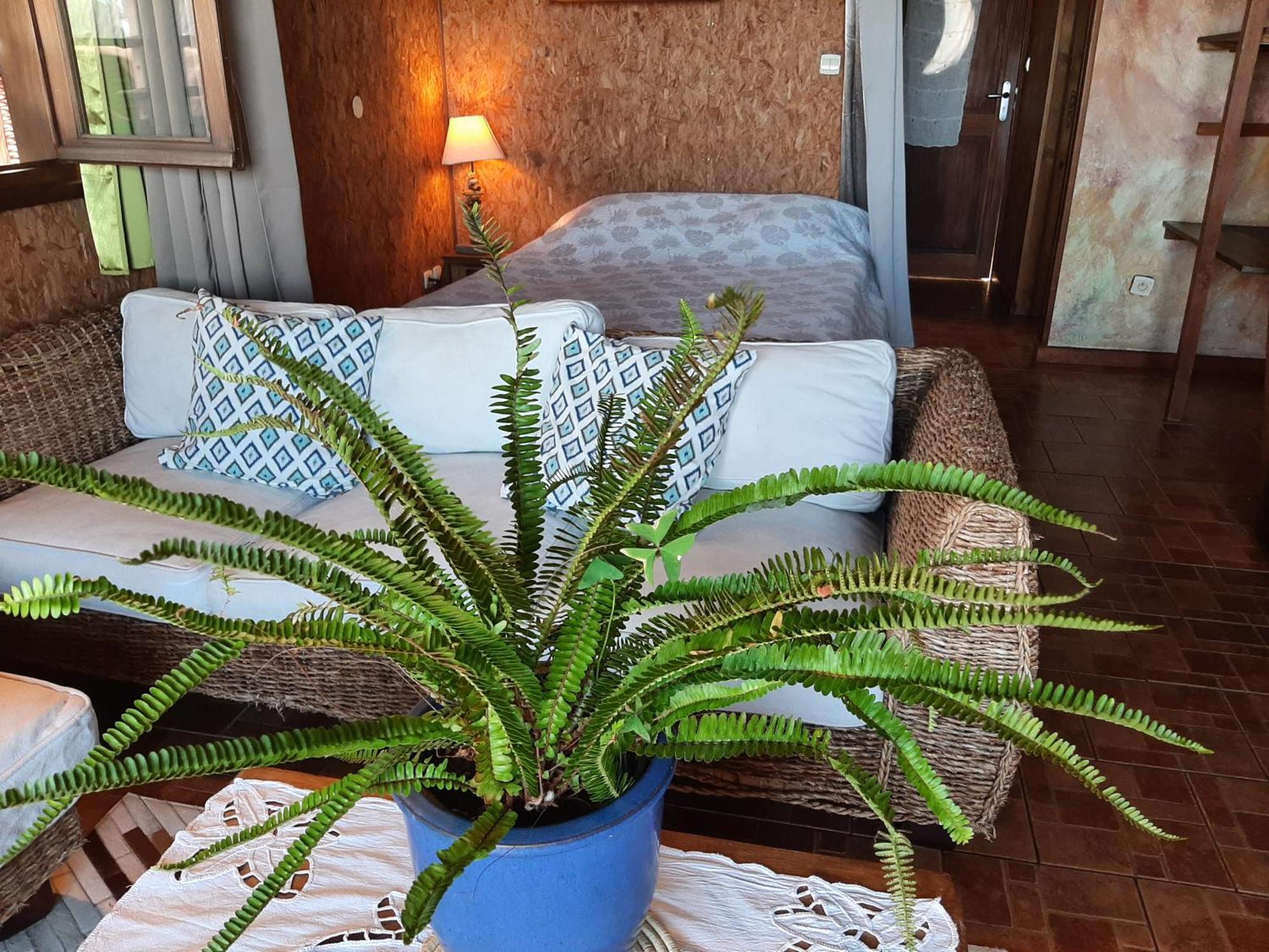 Les Bungalows De La Kazouale 圣勒 外观 照片